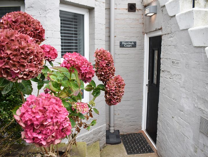 Havelock Court featured image