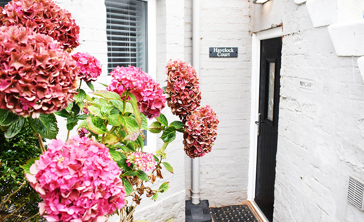 Havelock Court Apartment (1)