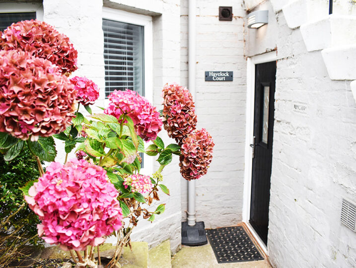 Havelock Court Apartment (1)