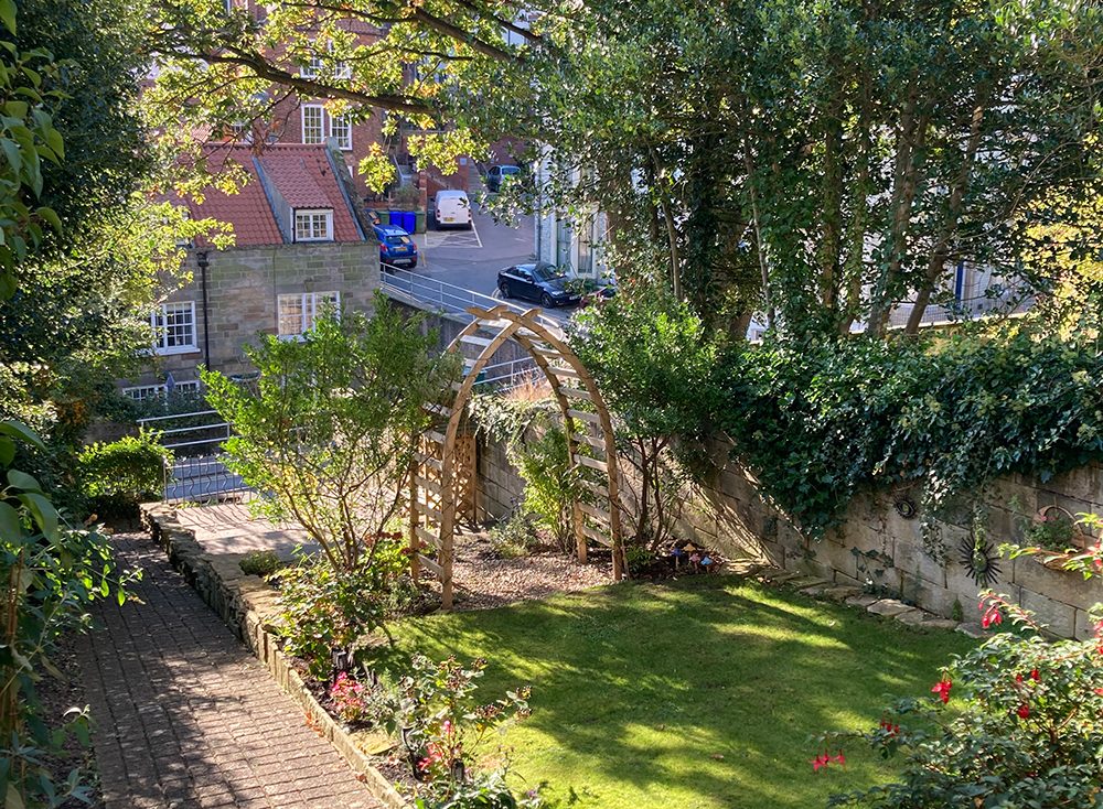sunny garden