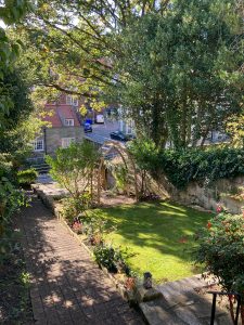 sunny garden