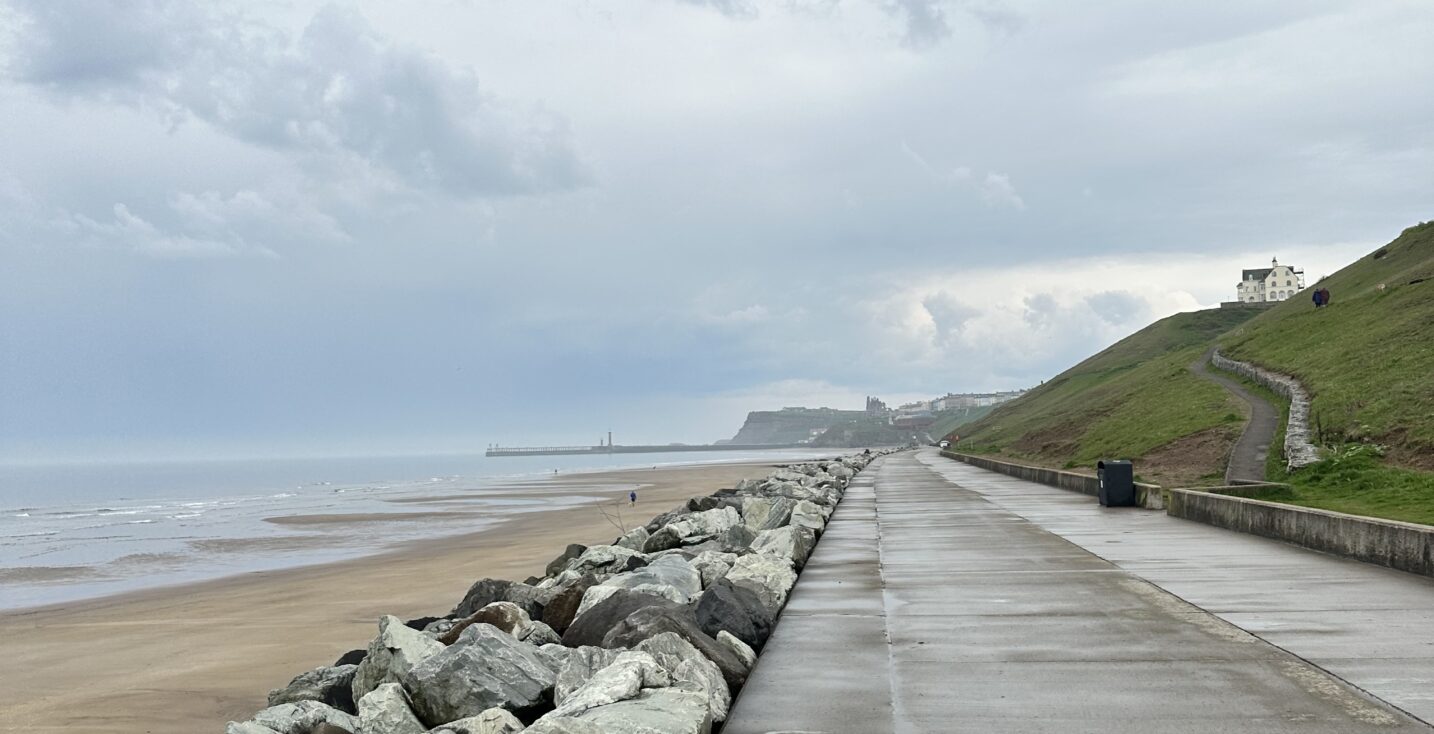 Spring Wildlife & Coastal Discoveries in Whitby