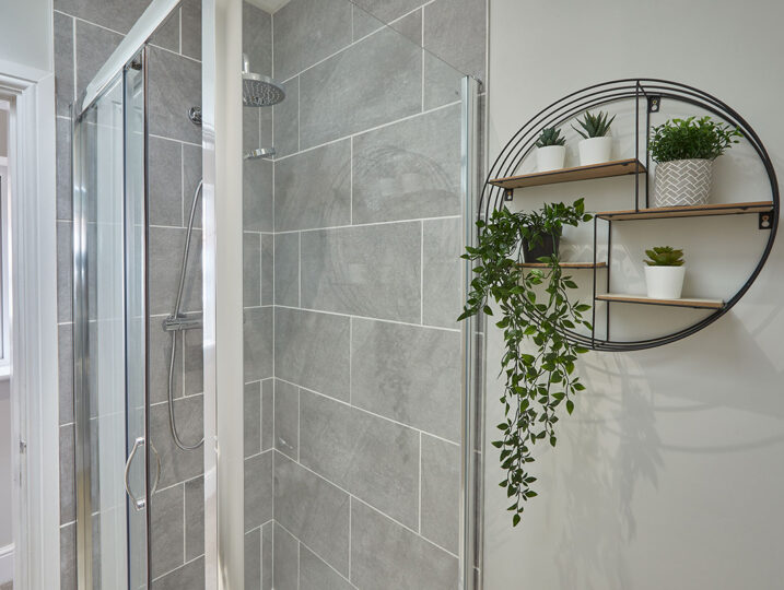 The Madison at Prospect Hill Apartments (11)