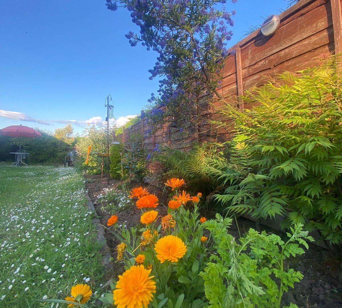 Sea View Cottage Garden (1)