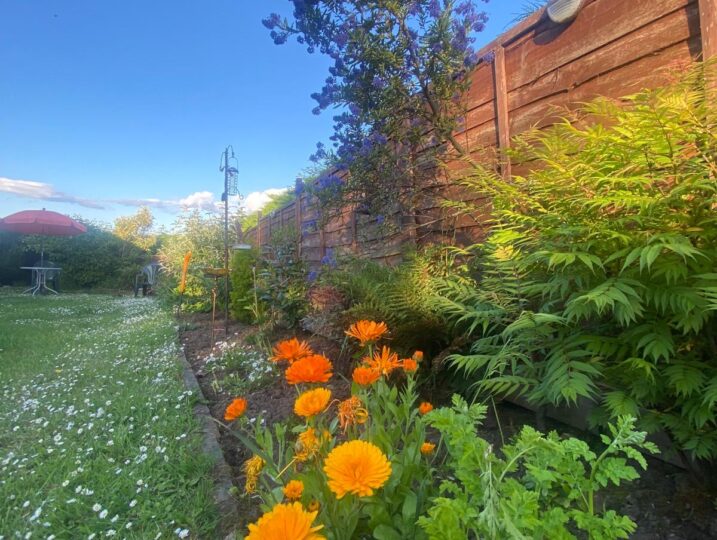 Sea View Cottage Garden (1)