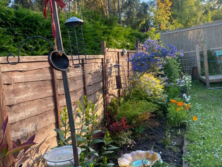 Sea View Cottage Garden (4)