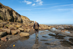 Fossil Hunting
